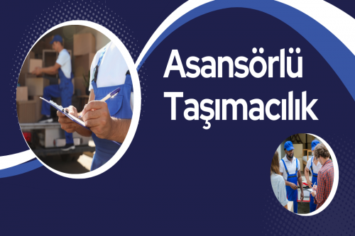 Asansörlü Taşımacılık